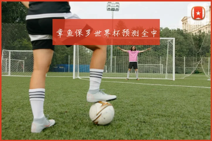 章鱼保罗世界杯预测全中