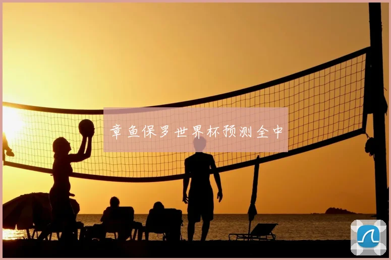 章鱼保罗世界杯预测全中